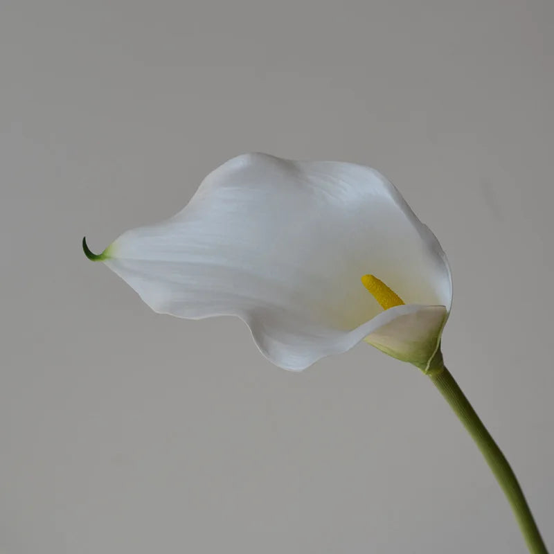 Calla Lily Artificial Flowers (Set of 5)