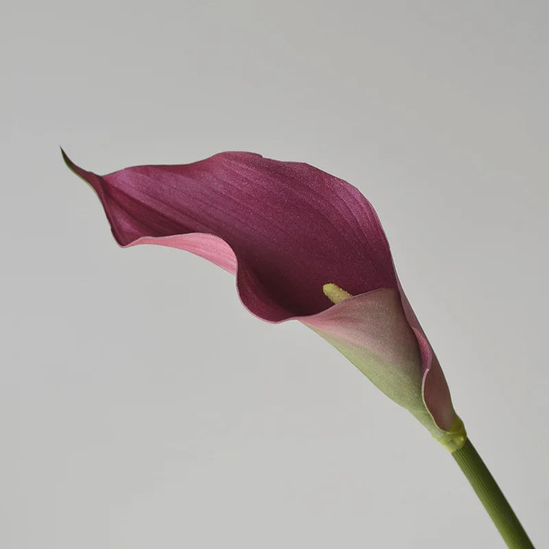 Calla Lily Artificial Flowers (Set of 5)