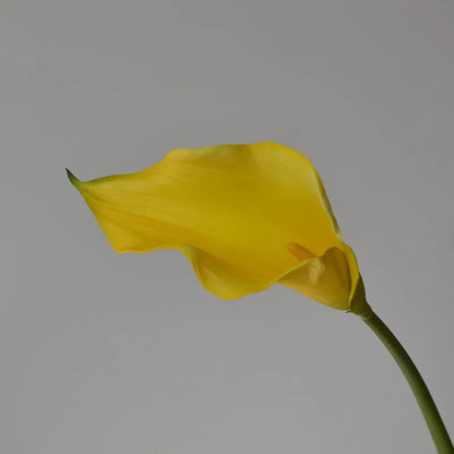 Calla Lily Artificial Flowers (Set of 5)